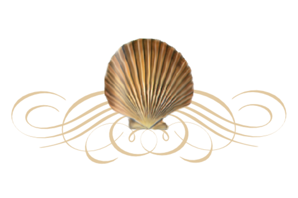 Seashells, Fish, and Beach Seashell Flourish 03 Artwork