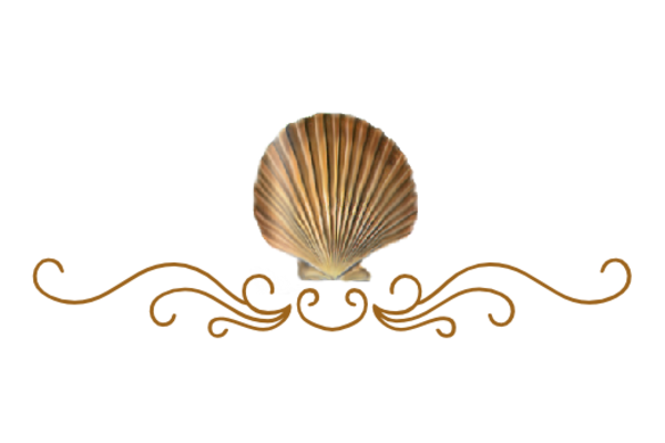 Seashells, Fish, and Beach Seashell Flourish 14 Artwork