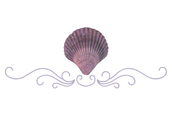 Seashells, Fish, and Beach Seashell Flourish 16 Artwork