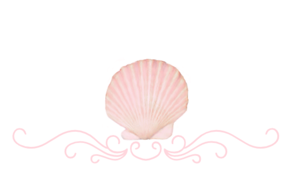 Seashells, Fish, and Beach Seashell Flourish 18 Artwork
