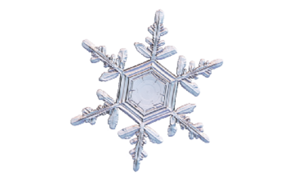 Winter and Holiday Snowflake 01 Artwork