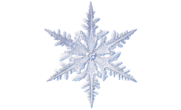Winter and Holiday Snowflake 06 Artwork