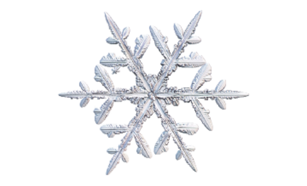 Winter and Holiday Snowflake 19 Artwork