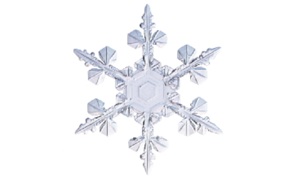 Winter and Holiday Snowflake 23 Artwork