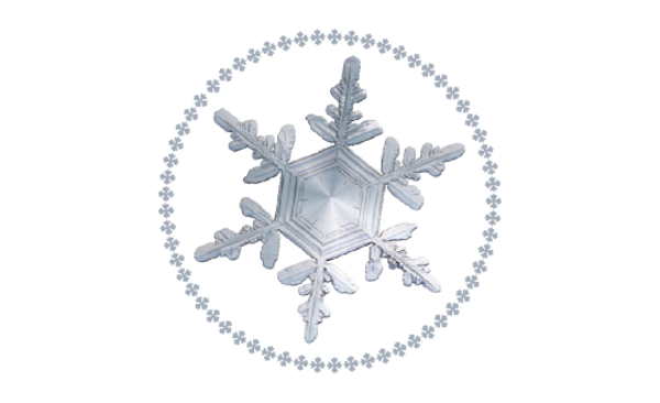 Winter and Holiday Snowflake Pattern 08 Artwork