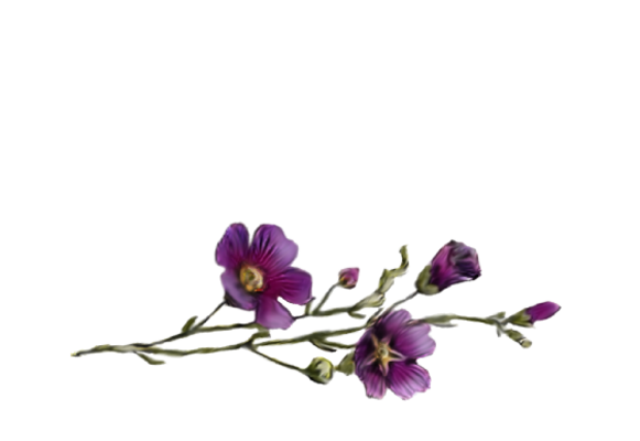 Spring Flowers, Autumn Leaves, Grapes Statise Artwork