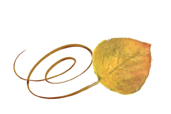 Spring Flowers, Autumn Leaves, Grapes Swirly Aspen Leaf Artwork