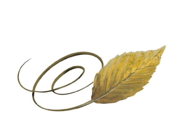 Spring Flowers, Autumn Leaves, Grapes Swirly Beech Leaf Artwork