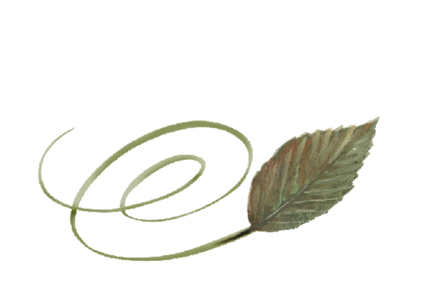 Spring Flowers, Autumn Leaves, Grapes Swirly Birch Leaf Artwork