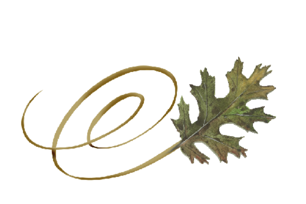 Spring Flowers, Autumn Leaves, Grapes Swirly Black Oak Leaf Artwork