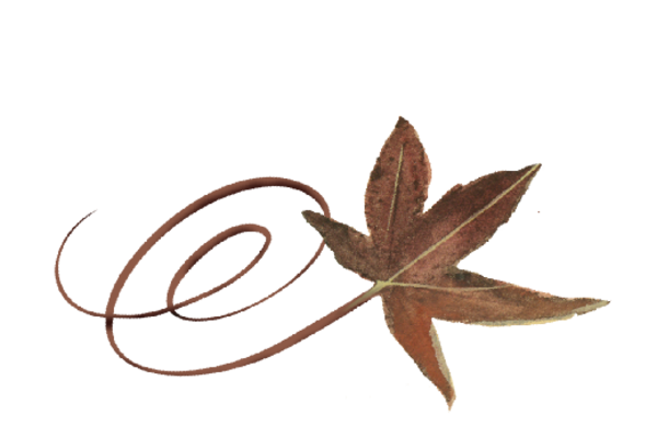 Spring Flowers, Autumn Leaves, Grapes Swirly Buckeye Leaf Artwork