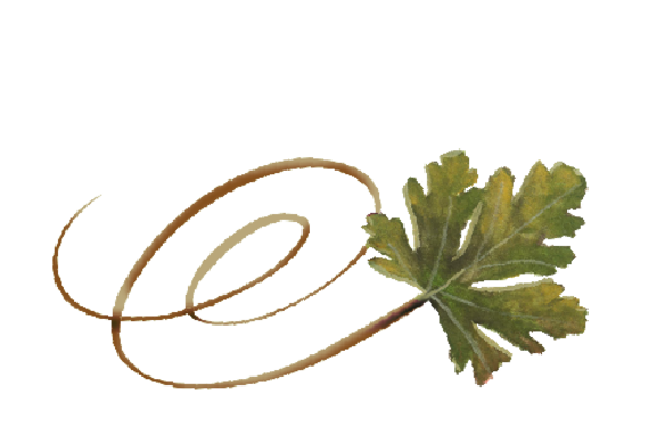 Spring Flowers, Autumn Leaves, Grapes Swirly Chestnut Leaf Artwork