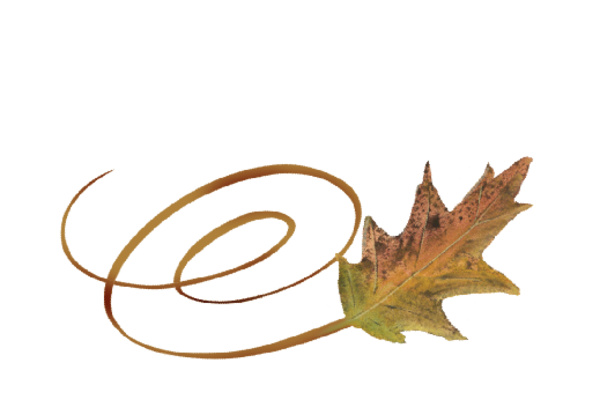 Spring Flowers, Autumn Leaves, Grapes Swirly Cypress Leaf Artwork