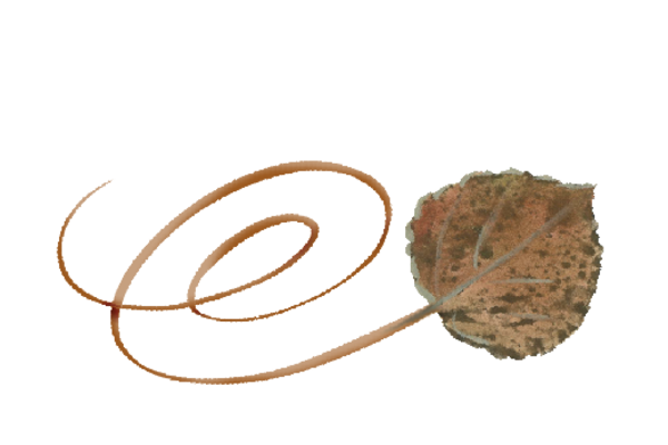 Spring Flowers, Autumn Leaves, Grapes Swirly Hawthorne Leaf Artwork