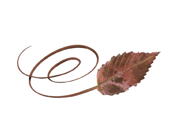 Spring Flowers, Autumn Leaves, Grapes Swirly Ironwood Leaf Artwork