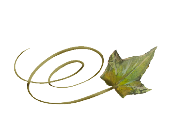 Spring Flowers, Autumn Leaves, Grapes Swirly Ivy Leaf Artwork