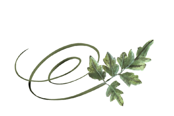 Spring Flowers, Autumn Leaves, Grapes Swirly Mountain Ash Leaf Artwork