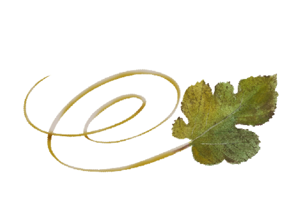 Spring Flowers, Autumn Leaves, Grapes Swirly Mulberry Leaf Artwork