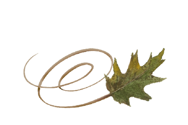 Spring Flowers, Autumn Leaves, Grapes Swirly Oak Leaf Artwork