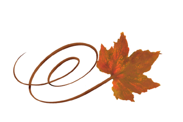 Spring Flowers, Autumn Leaves, Grapes Swirly Orance Sugar Maple Leaf Artwork