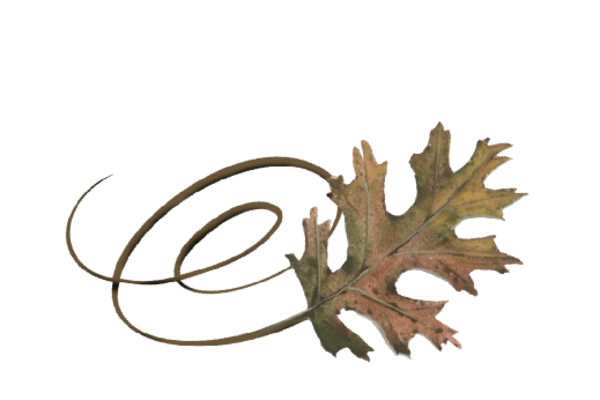 Spring Flowers, Autumn Leaves, Grapes Swirly Pin Oak Leaf Artwork