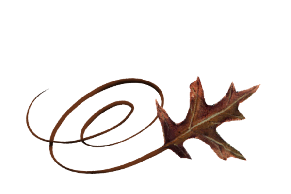 Spring Flowers, Autumn Leaves, Grapes Swirly Red Oak Leaf Artwork