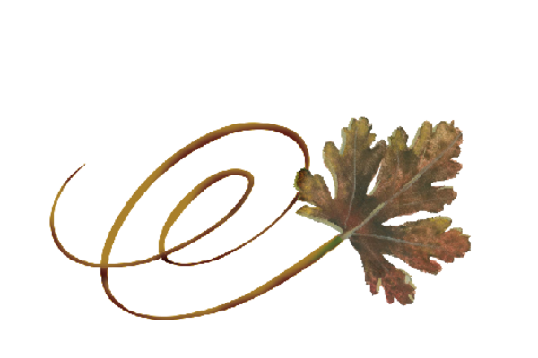 Spring Flowers, Autumn Leaves, Grapes Swirly River Birch Leaf Artwork