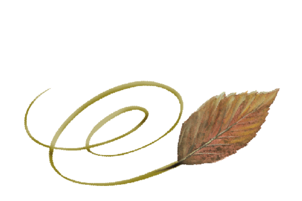Spring Flowers, Autumn Leaves, Grapes Swirly Walnut Leaf Artwork