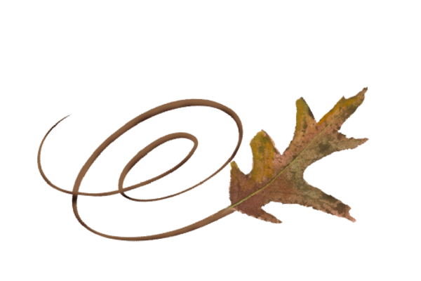 Spring Flowers, Autumn Leaves, Grapes Swirly White Oak Leaf Artwork