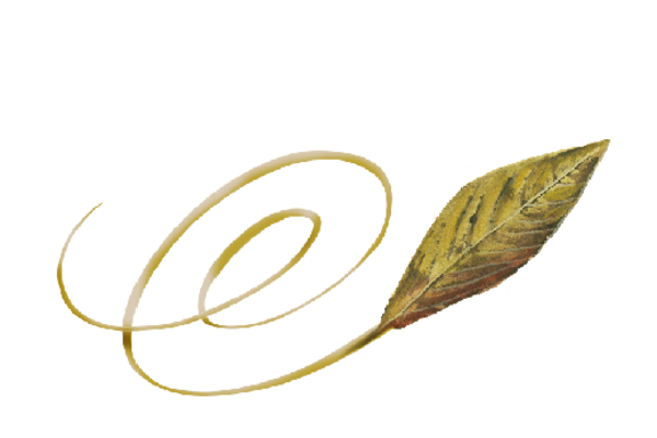 Spring Flowers, Autumn Leaves, Grapes Swirly Willow Leaf Artwork