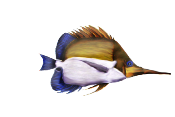 Seashells, Fish, and Beach True Blue Artwork