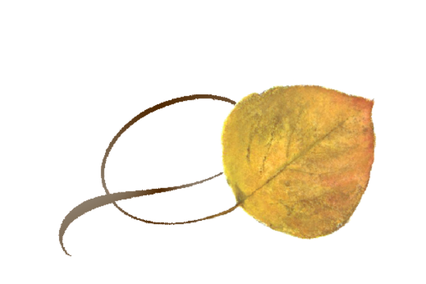 Spring Flowers, Autumn Leaves, Grapes Twisty Aspen Leaf Artwork