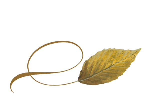Spring Flowers, Autumn Leaves, Grapes Twisty Beech Leaf Artwork