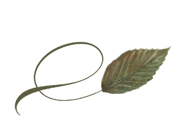 Spring Flowers, Autumn Leaves, Grapes Twisty Birch Leaf Artwork
