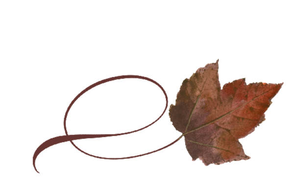 Spring Flowers, Autumn Leaves, Grapes Twisty Boxelder Leaf Artwork