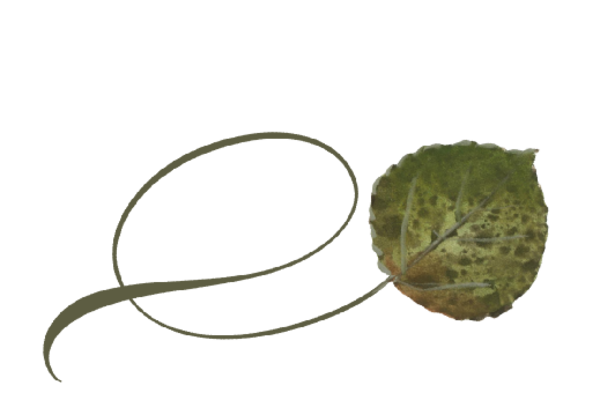 Spring Flowers, Autumn Leaves, Grapes Twisty Bradford Pear Leaf Artwork