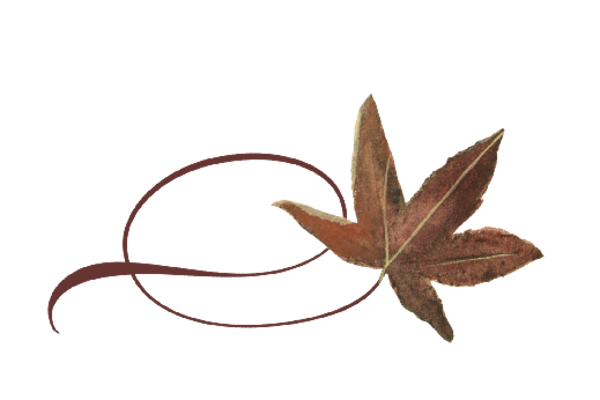 Spring Flowers, Autumn Leaves, Grapes Twisty Buckeye Leaf Artwork