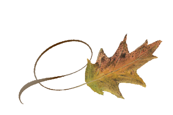 Spring Flowers, Autumn Leaves, Grapes Twisty Cypress Leaf Artwork