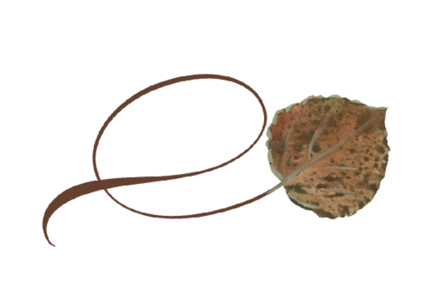Spring Flowers, Autumn Leaves, Grapes Twisty Hawthorne Leaf Artwork