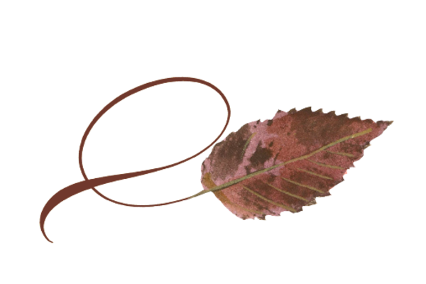 Spring Flowers, Autumn Leaves, Grapes Twisty Ironwood Leaf Artwork