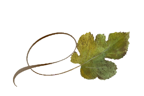 Spring Flowers, Autumn Leaves, Grapes Twisty Mulberry Leaf Artwork