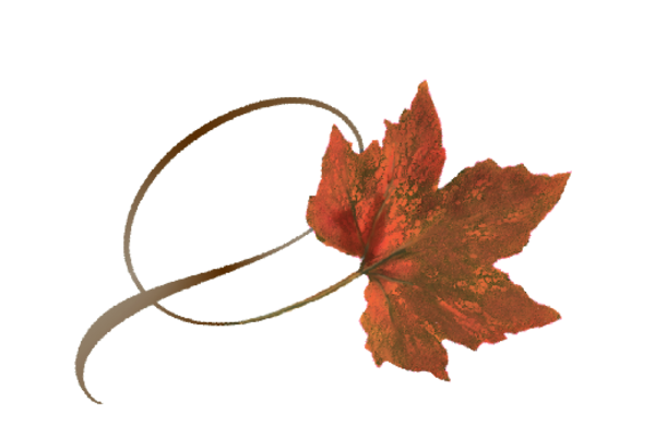 Spring Flowers, Autumn Leaves, Grapes Twisty Orance Sugar Maple Leaf Artwork