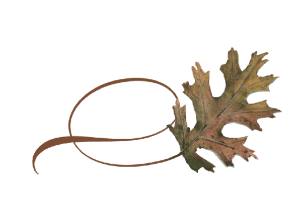 Spring Flowers, Autumn Leaves, Grapes Twisty Pin Oak Leaf Artwork