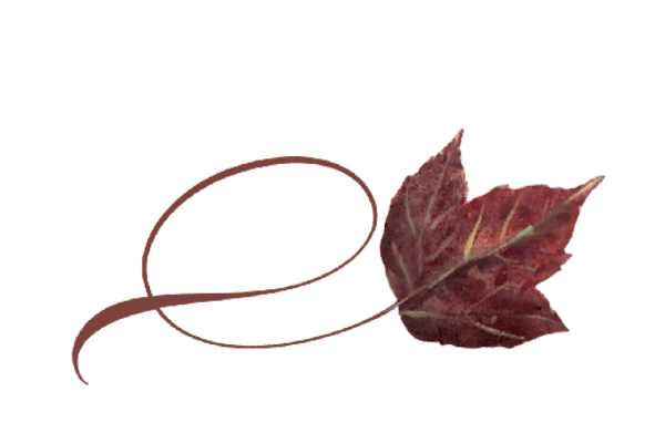 Spring Flowers, Autumn Leaves, Grapes Twisty Poplar Leaf Artwork