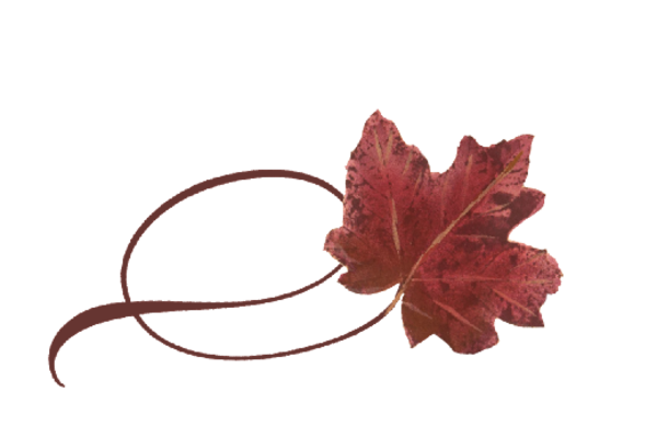 Spring Flowers, Autumn Leaves, Grapes Twisty Red Maple Leaf Artwork
