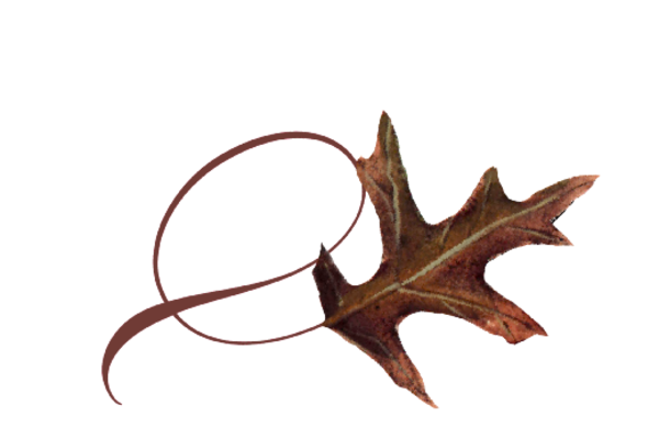 Spring Flowers, Autumn Leaves, Grapes Twisty Red Oak Leaf Artwork
