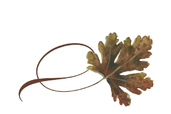 Spring Flowers, Autumn Leaves, Grapes Twisty River Birch Leaf Artwork