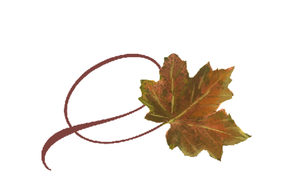 Spring Flowers, Autumn Leaves, Grapes Twisty Sugar Maple Leaf Artwork