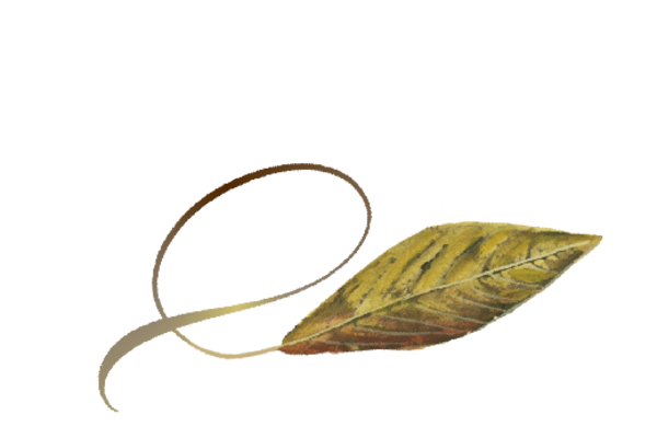 Spring Flowers, Autumn Leaves, Grapes Twisty Willow Leaf Artwork