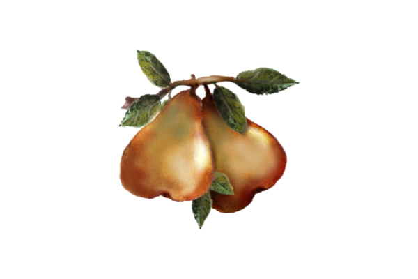 Spring Flowers, Autumn Leaves, Grapes Two Pears Artwork